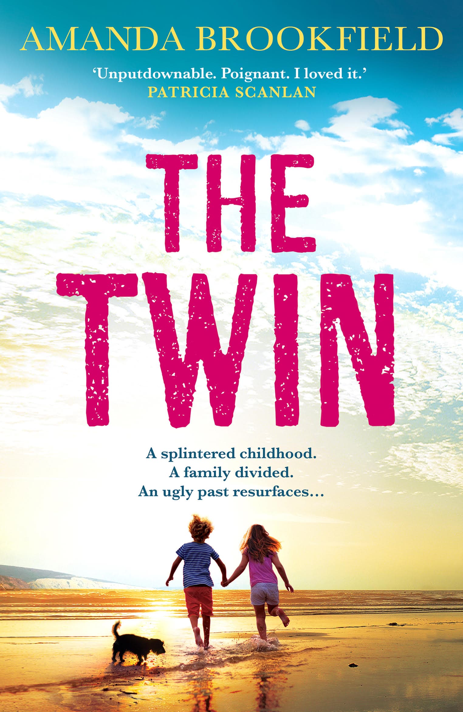 The Twin — book cover